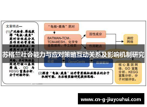 苏格兰社会能力与应对策略互动关系及影响机制研究 苏格兰社会能力与应对策略互动关系及影响机制研究