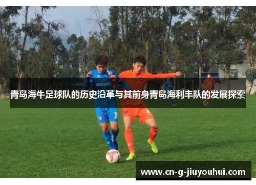 青岛海牛足球队的历史沿革与其前身青岛海利丰队的发展探索 青岛海牛足球队的历史沿革与其前身青岛海利丰队的发展探索