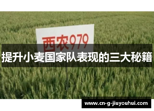 提升小麦国家队表现的三大秘籍