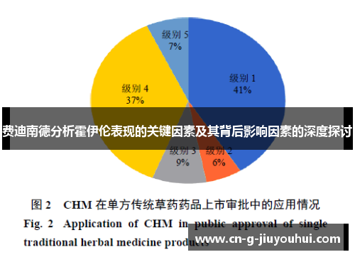 费迪南德分析霍伊伦表现的关键因素及其背后影响因素的深度探讨